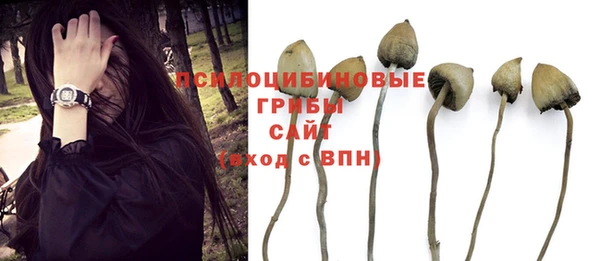 МДМА Надым
