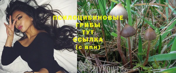 герыч Навашино